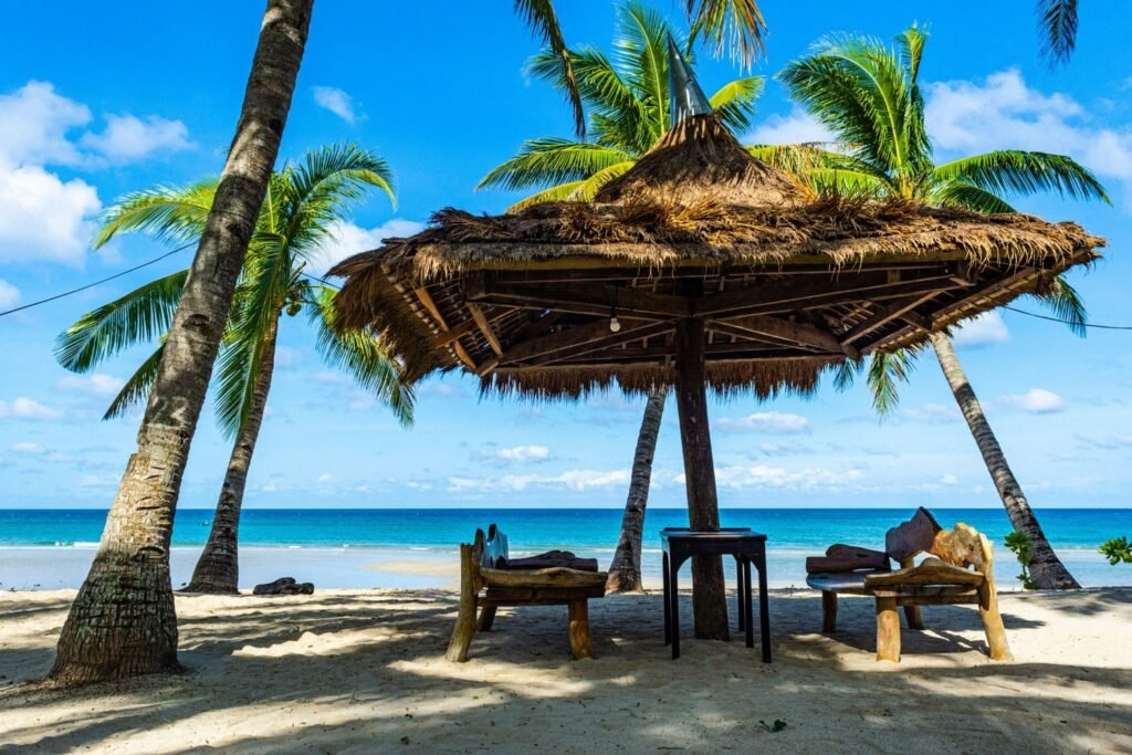 Tropical beach with palm trees, thatched shelter and wooden benches overlooking the blue ocean.